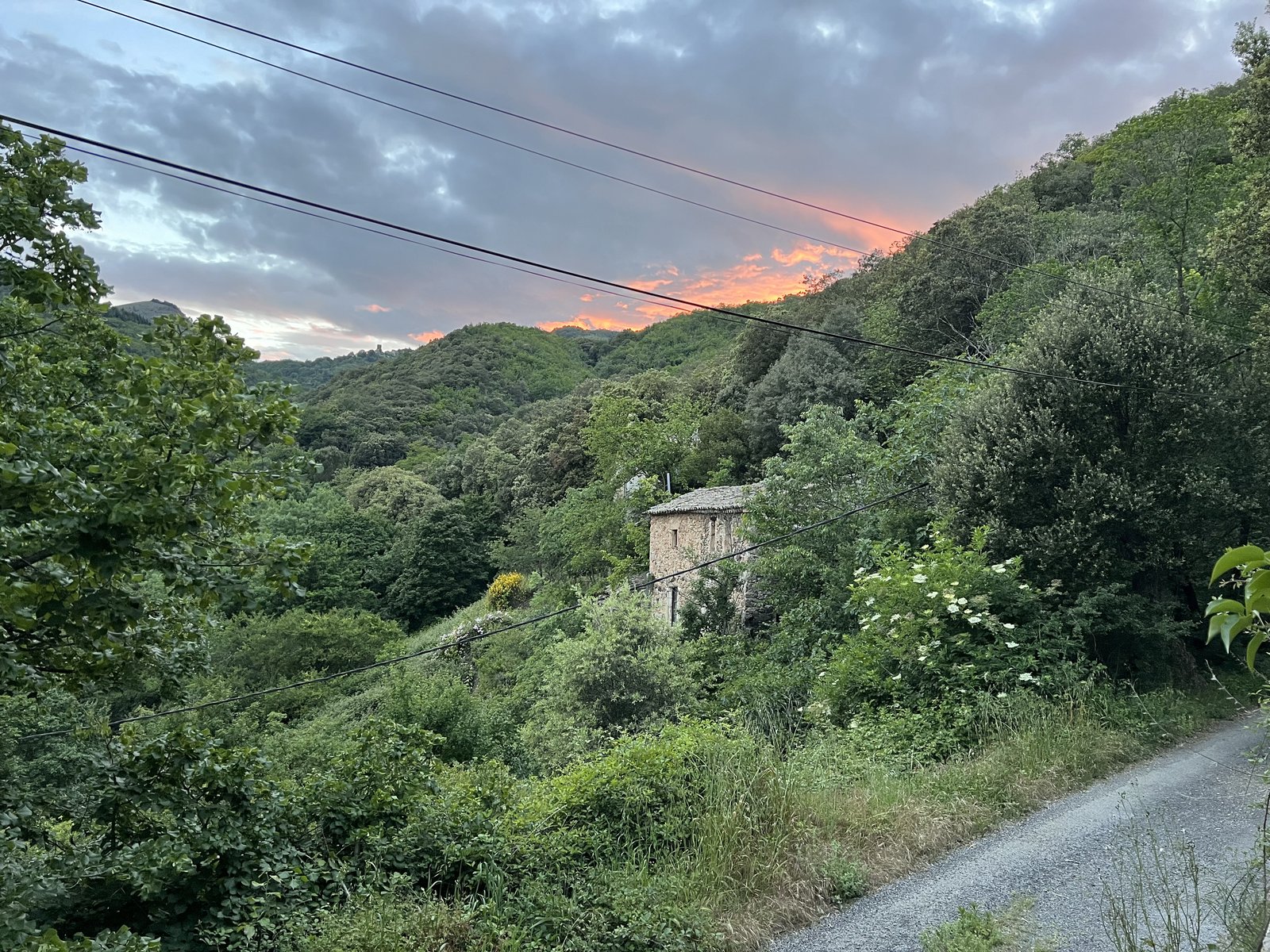 La forêt cévenole depuis le Mas de Gentil