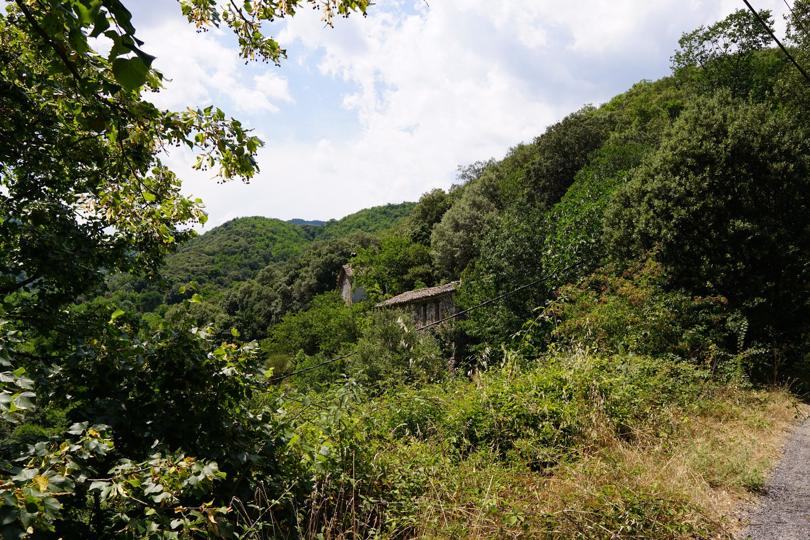 Le Mas de Gentil dans la vallée
