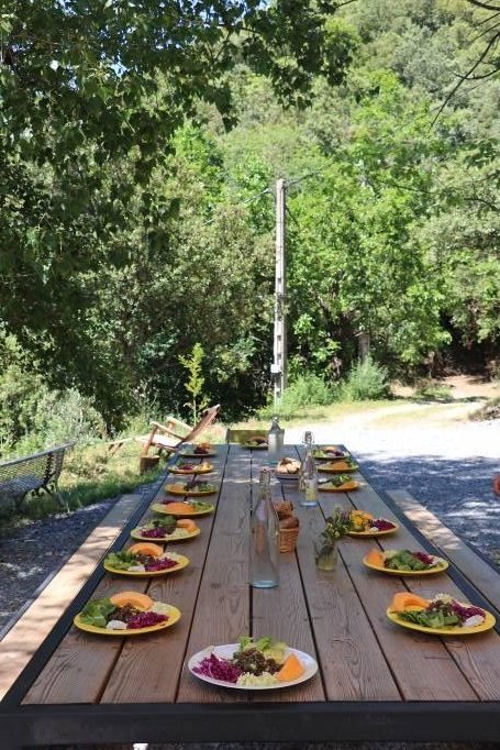 Repas végétariens en terrasse au Mas de Gentil