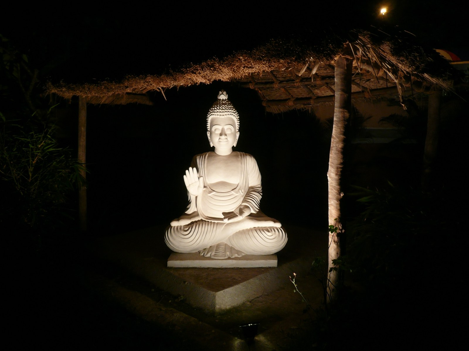 Bouddha illuminé la nuit