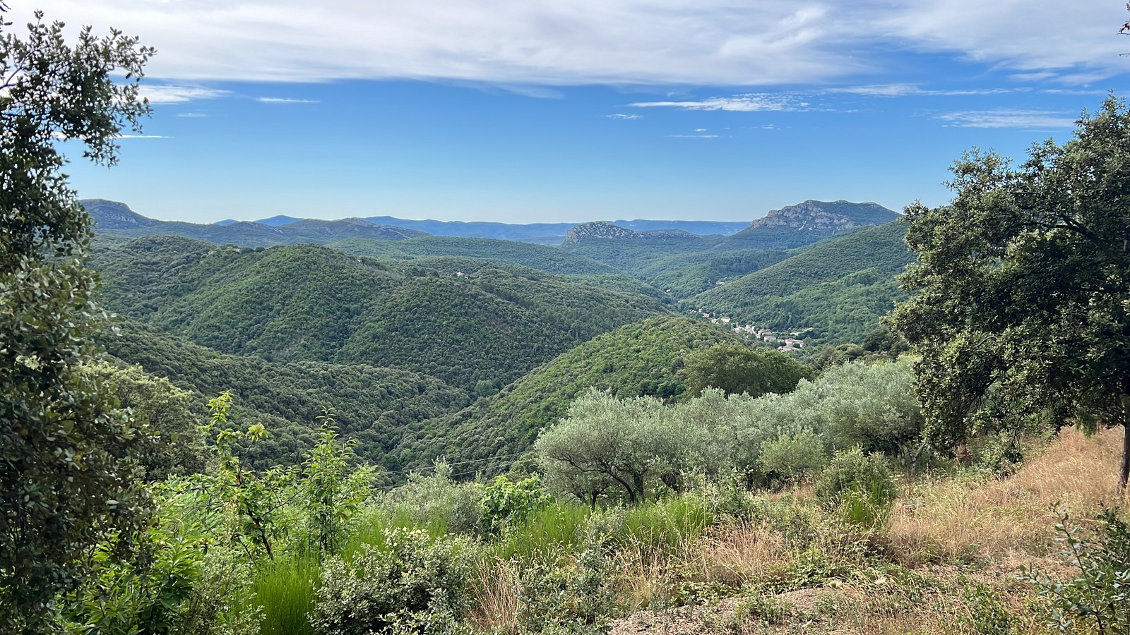 Panorama des Cévennes